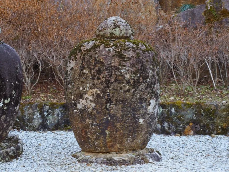 _C281008.JPG