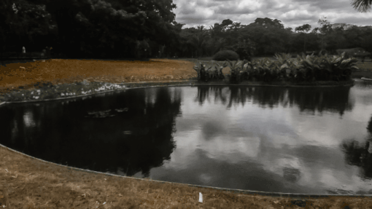 20190523_163636.gif