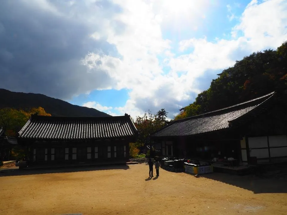 PA270708.JPG