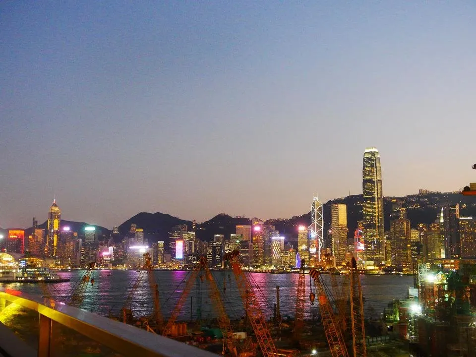 P1000316.jpg