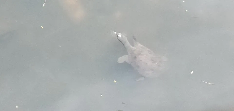 IMG20181014123244.jpg
