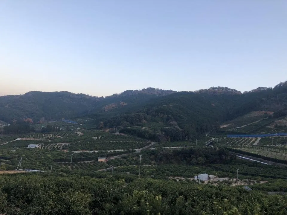 S__89817095.jpg