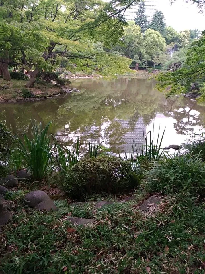 20180626_182822_471.jpg