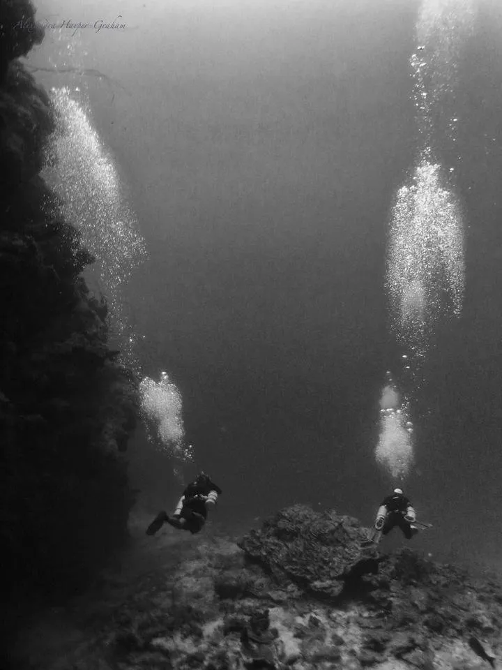 Descending to Monkey Face Rock on Roatan, Honduras