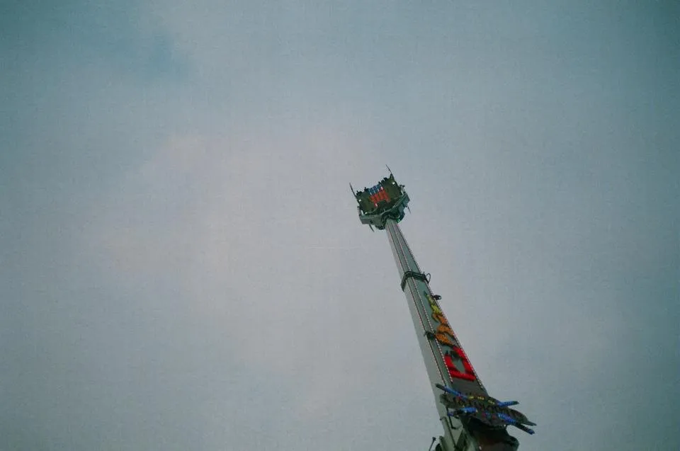 26810012.JPG