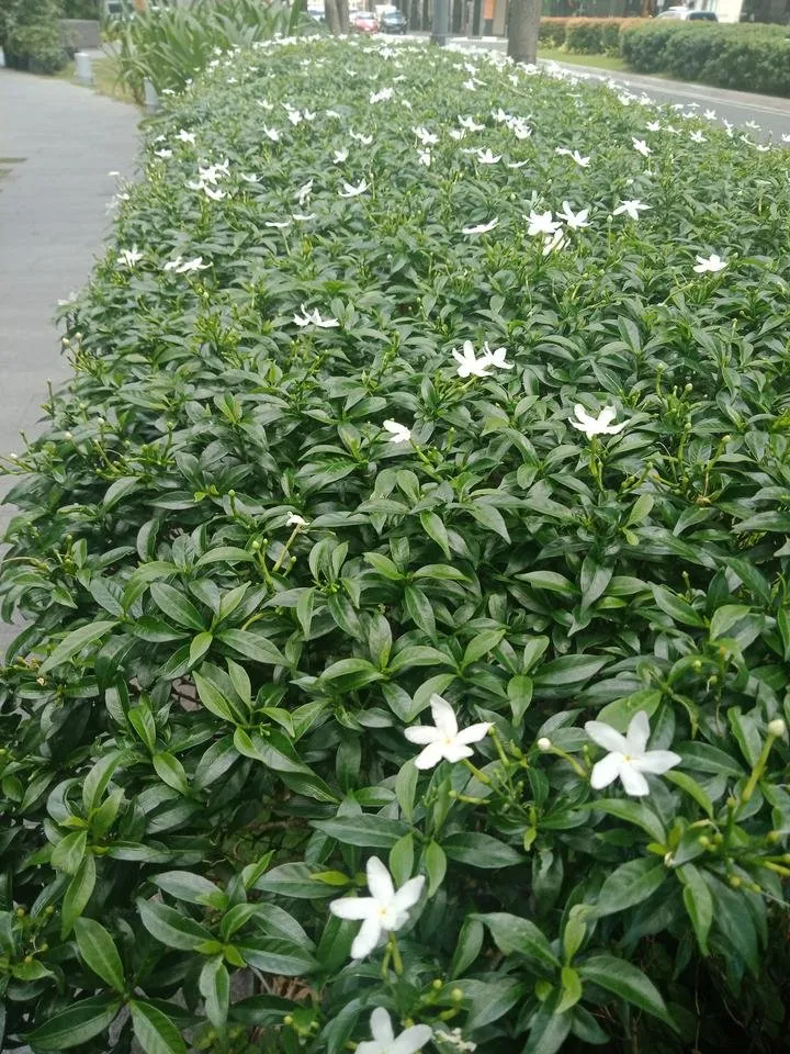 IMG20190220110644.jpg