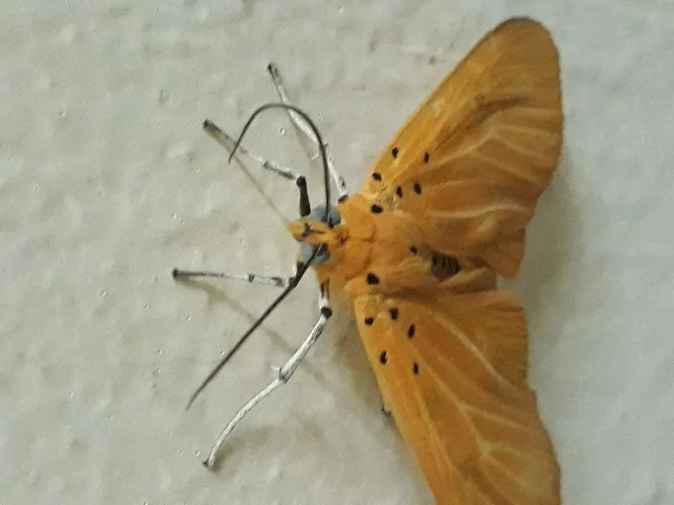 20180514_003426.jpg