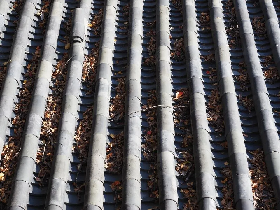 PA210303.JPG