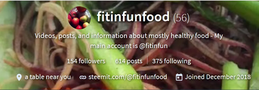 fitinfunfood profile screen mar 6.PNG