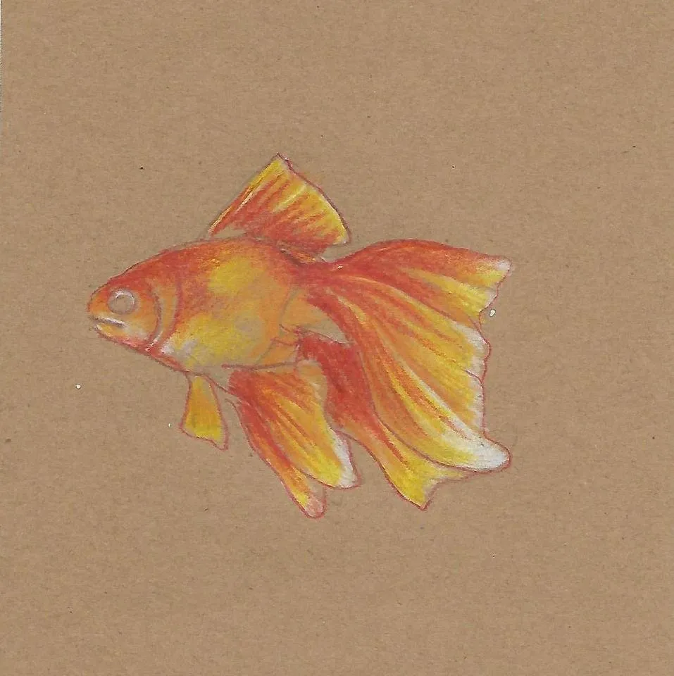 Scan_0004.jpg