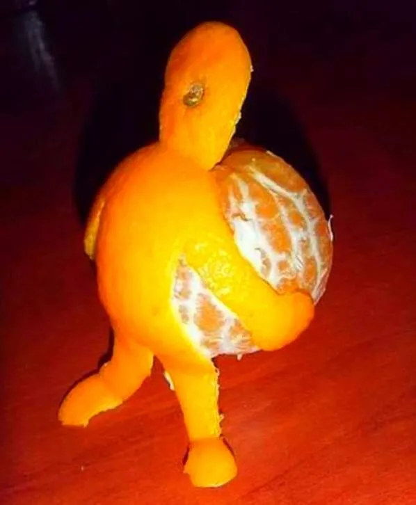 20180323_101749.jpg