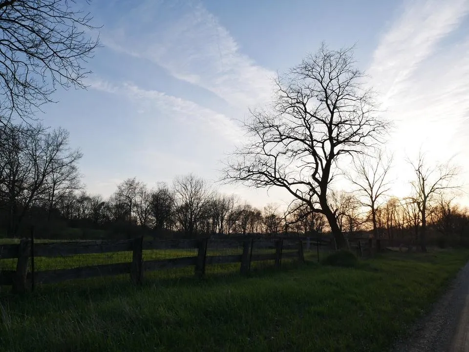 P1210839.JPG