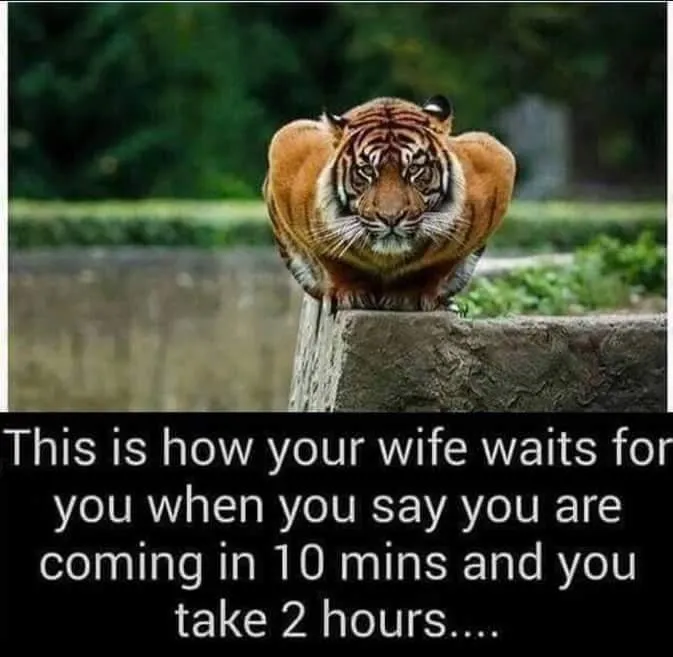 10153639428347611.jpg