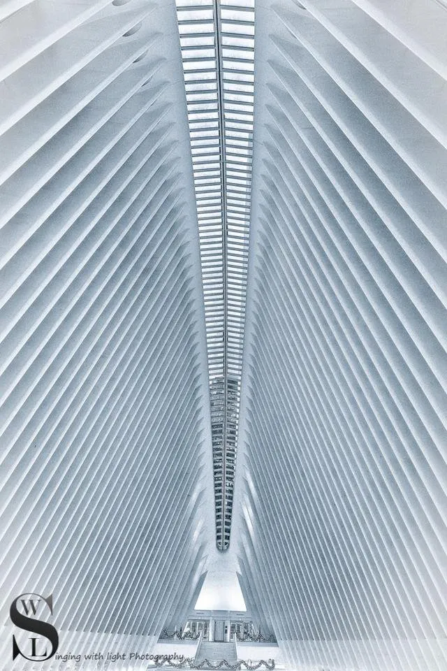 1 Inside the occulus-2.jpg