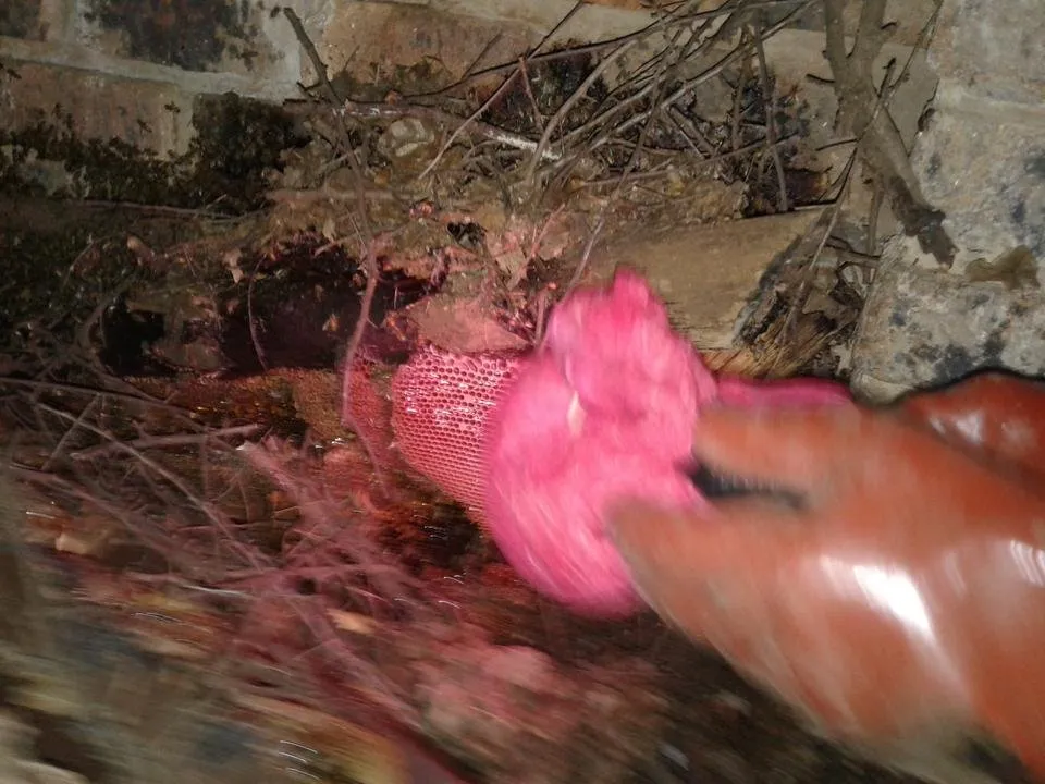 20190306_195937.jpg