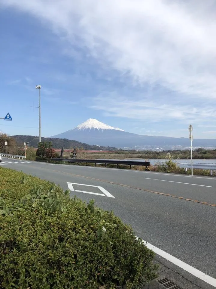 S__89841679.jpg