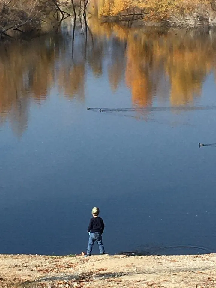 2396850E-B5E3-432C-9997-8D2778E0D765.jpeg