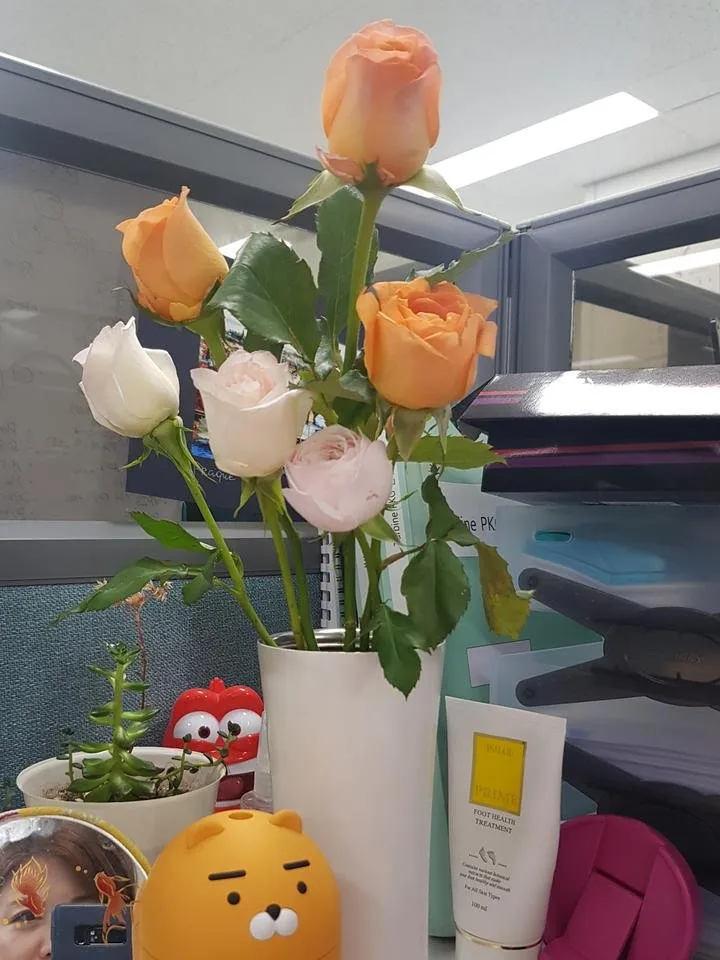 20190626_140128.jpg
