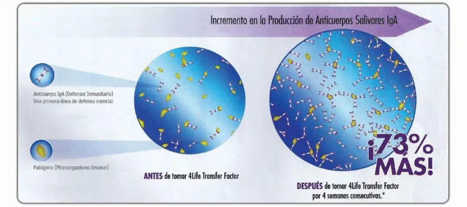 transfer factor
