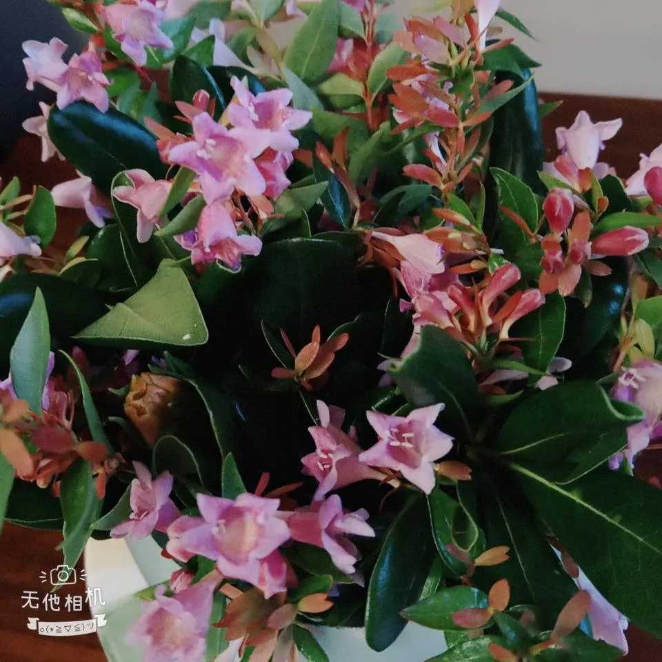 WuTa_2018-08-22_17-10-14.jpg