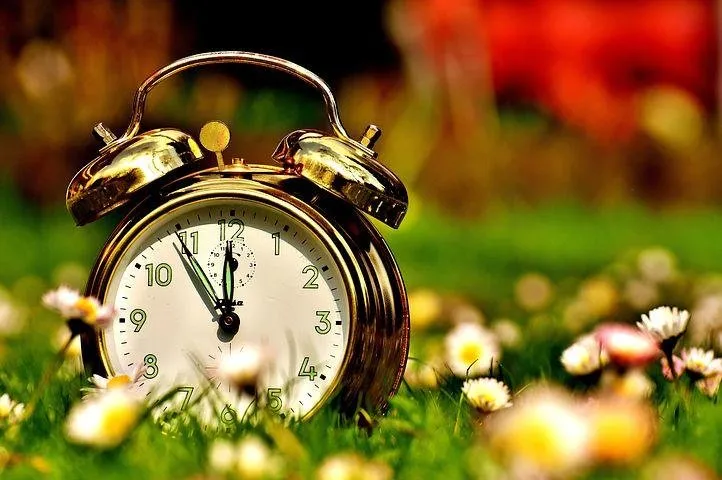 the-eleventh-hour-2202815__480.jpg