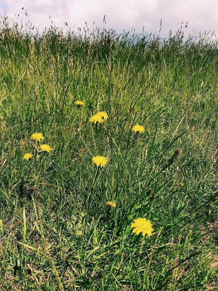 JPEG image-6DCE7F4411E8-9.jpeg