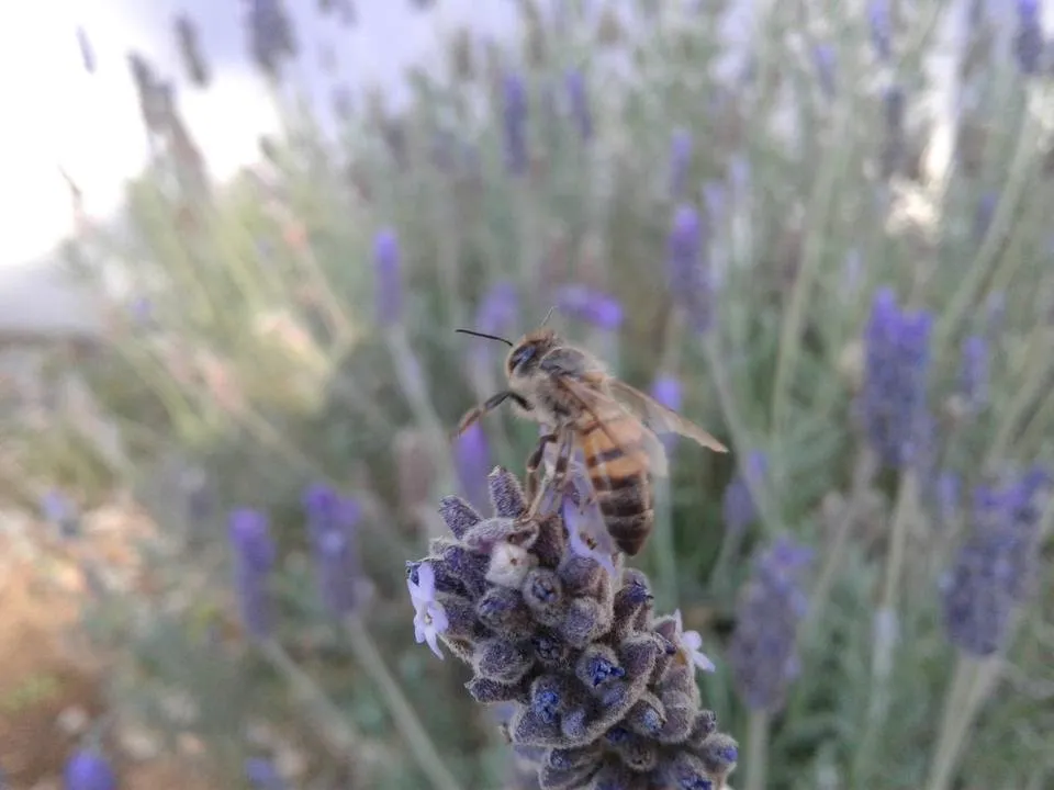 20190716_155659.jpg