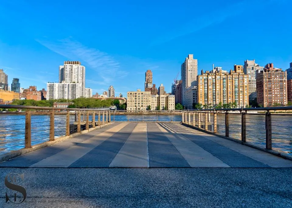 1 Wednesday Walk Roosevelt Island -2.jpg