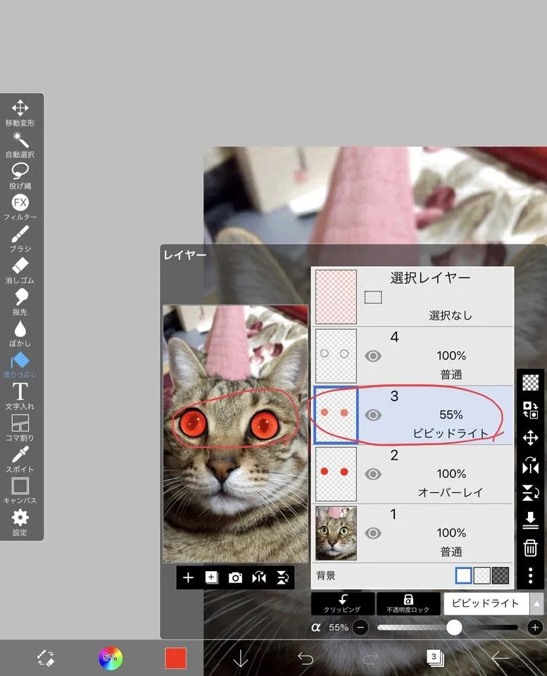 3D62EB1F-0AC0-4A3E-9CA3-DB303D52586C.jpeg