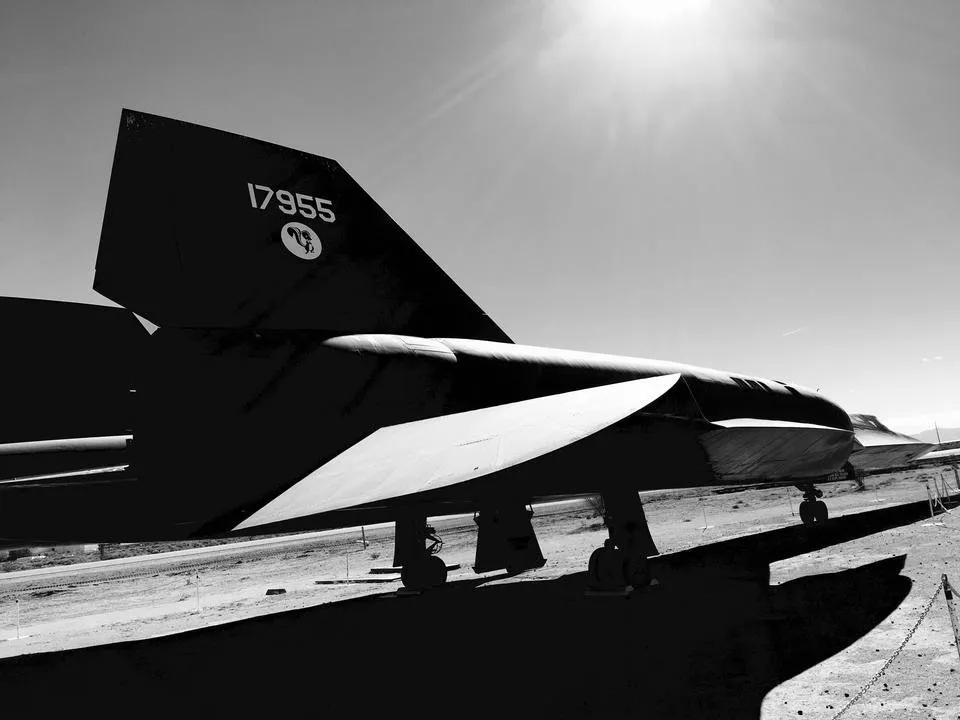 blackbird 002.jpg