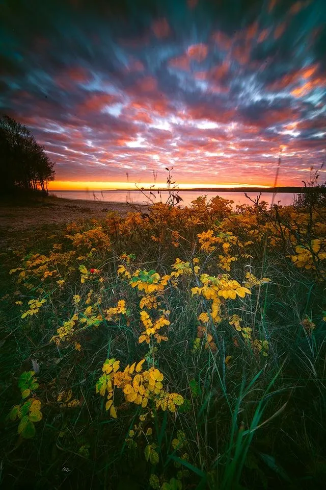Evening-at-curonian-gulf2.jpg