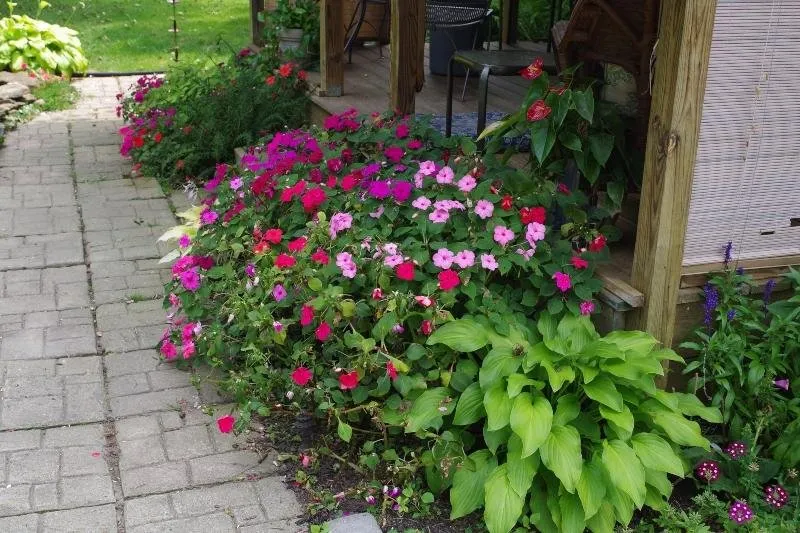 a garden 2.jpg