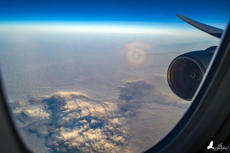 _MLR0983.jpg