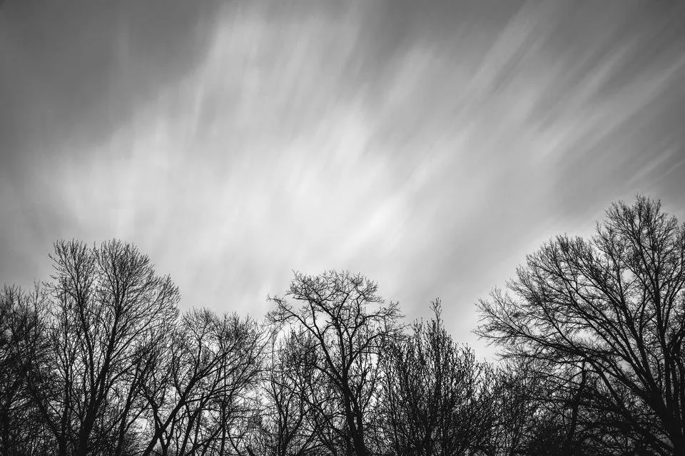 DSC_0308 (1).jpg