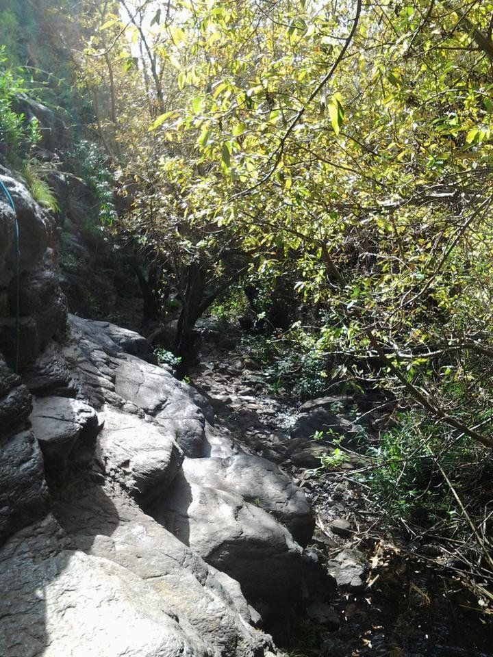 20190113_145116.jpg