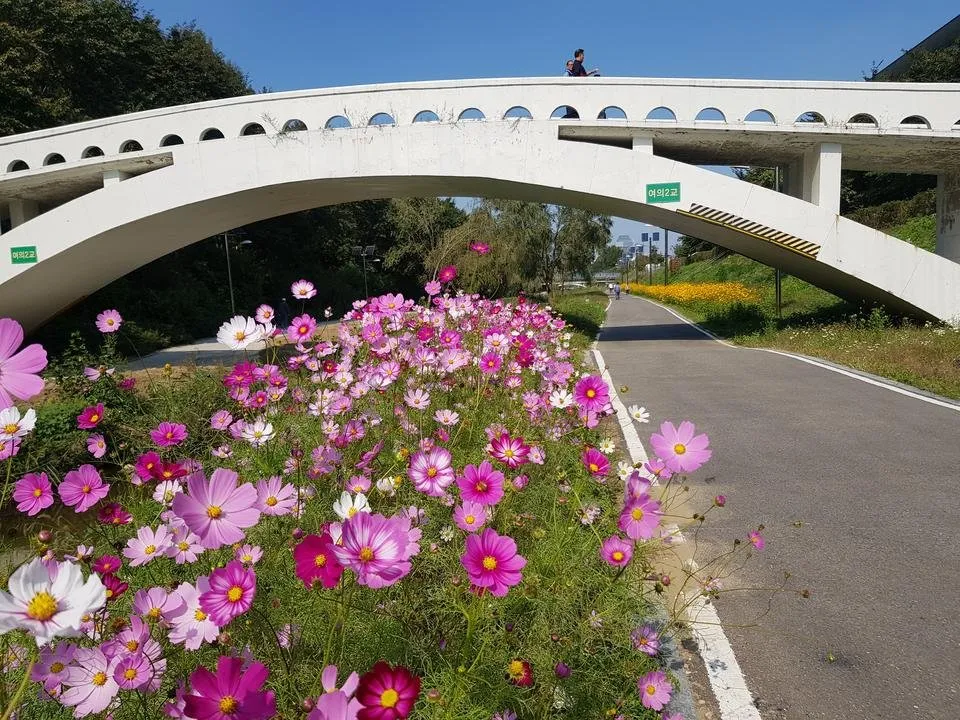 20191014_123529.jpg