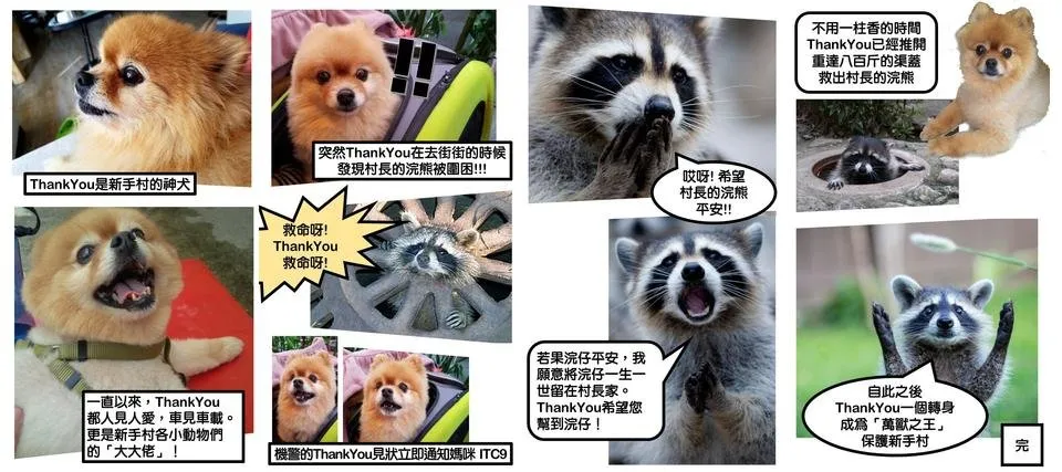 未标题.jpg