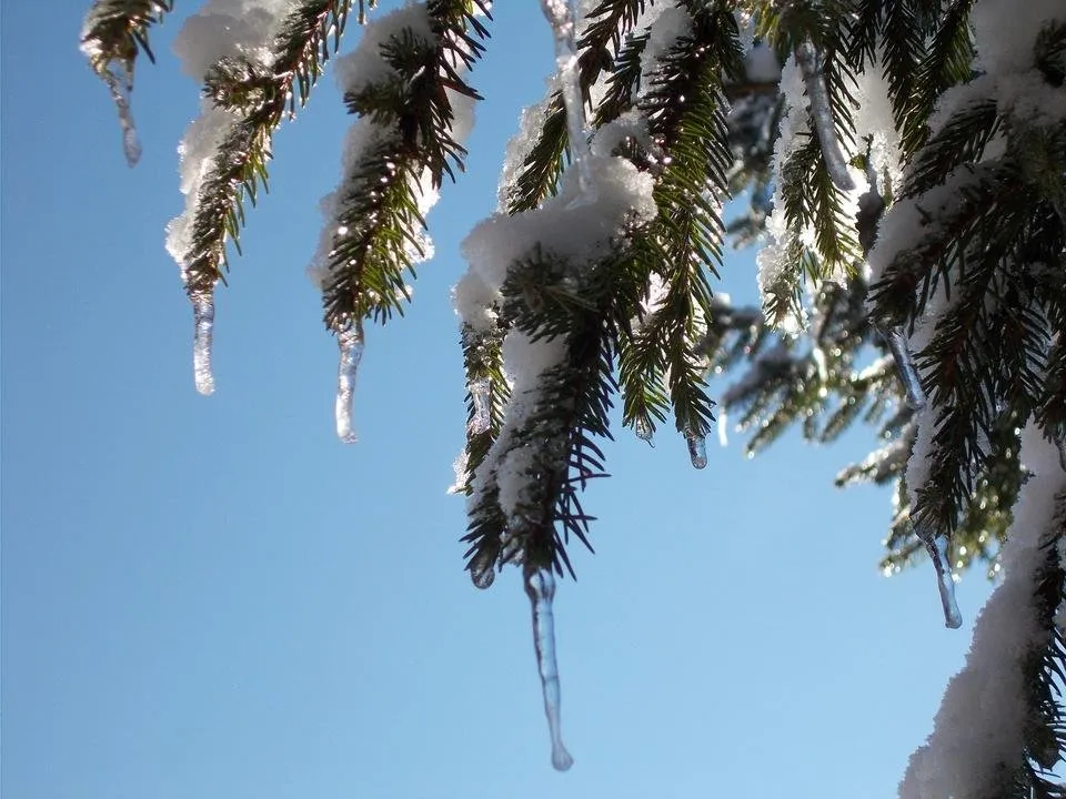 DSCN3137.JPG