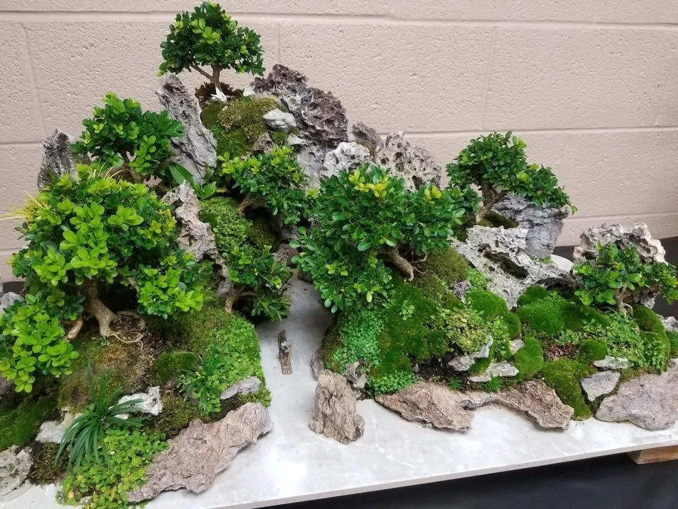 20190915_140449.jpg