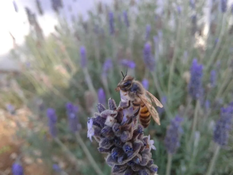 20190716_155654.jpg