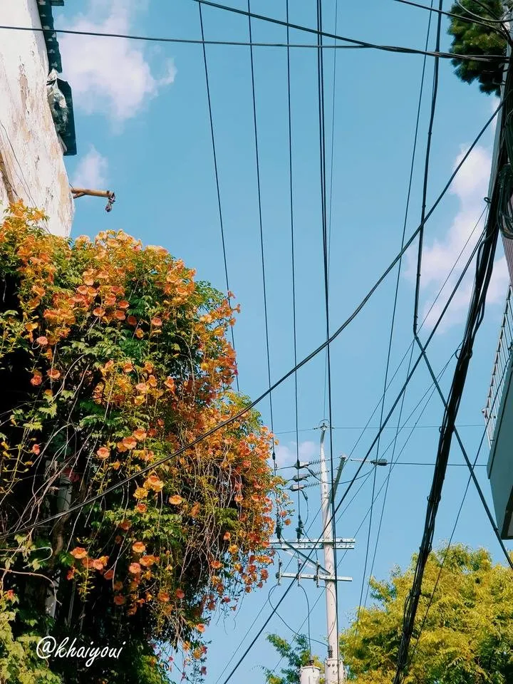 Fotor_156442940140159.jpg