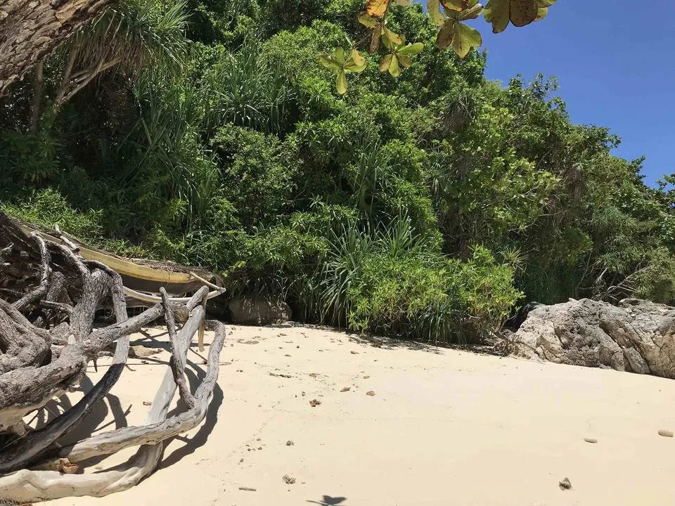 Wild beach on Sumba