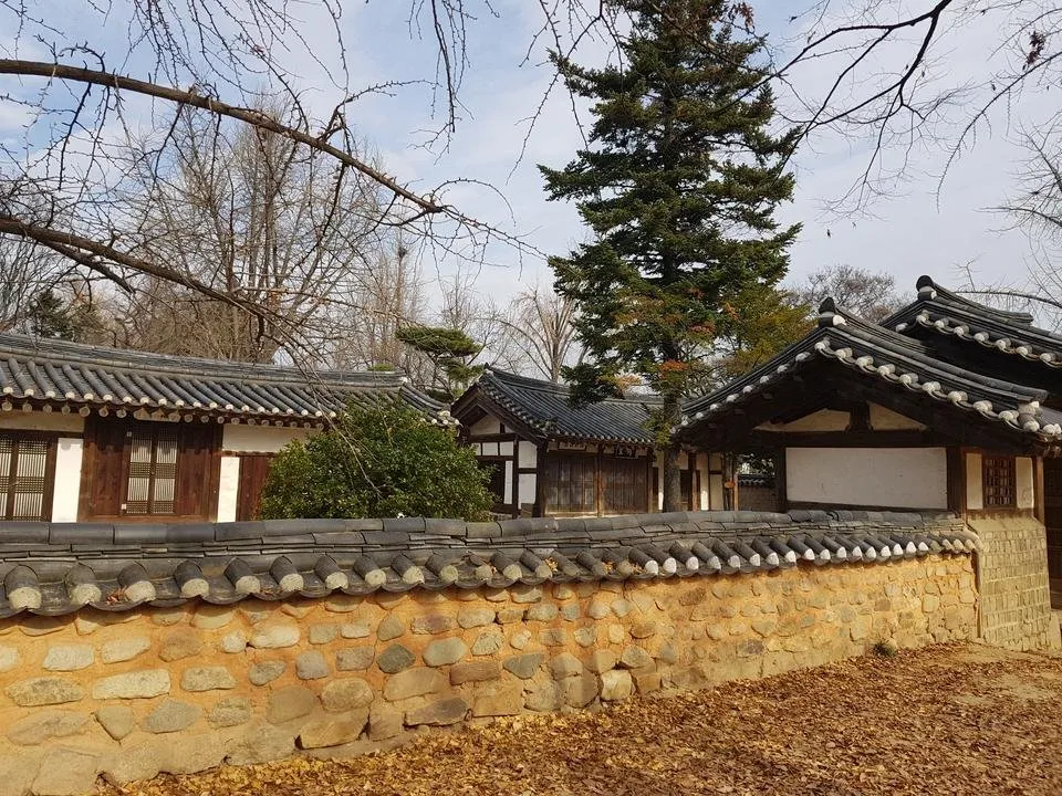 20181121_112358.jpg