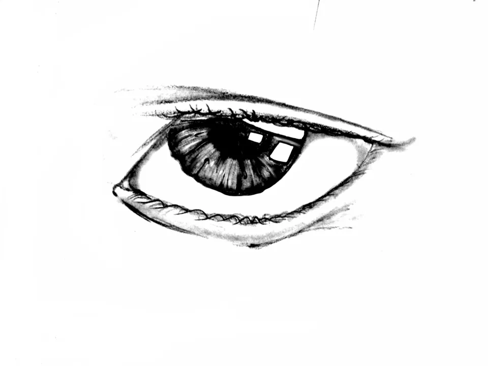 sketch1528383866468.png