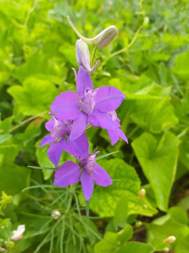 20190619_192729.jpg