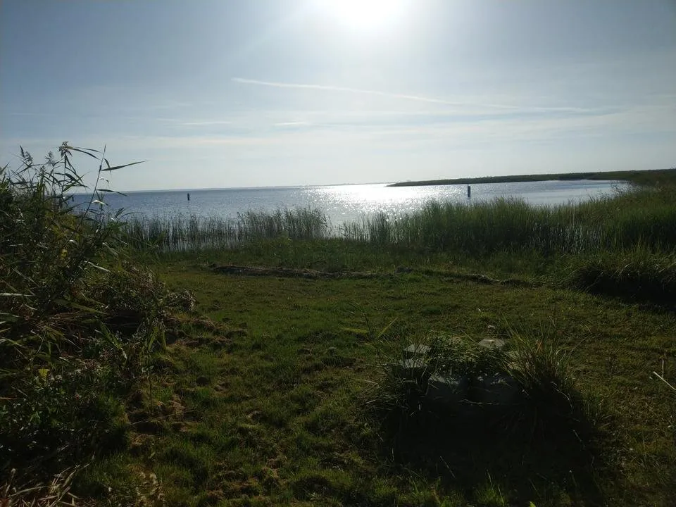 IMAG7615.jpg