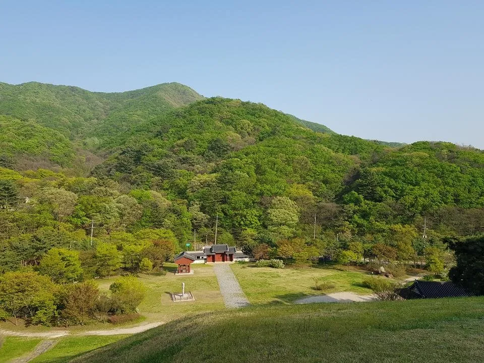 20190501_171747.jpg