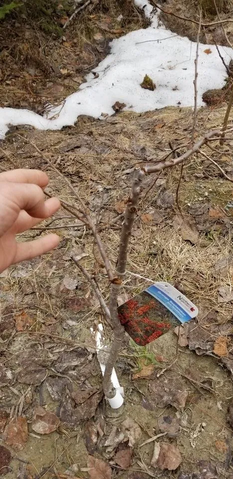 20190425_185342.jpg