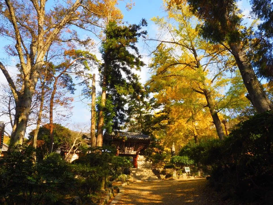 _A280015.JPG