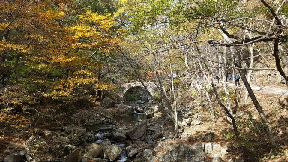 선암사6.jpg